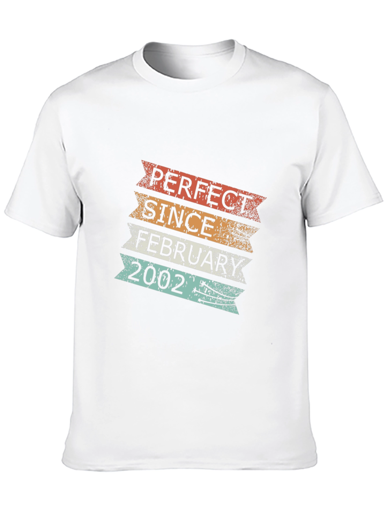 Perfect Since February 2002 T-Shirt