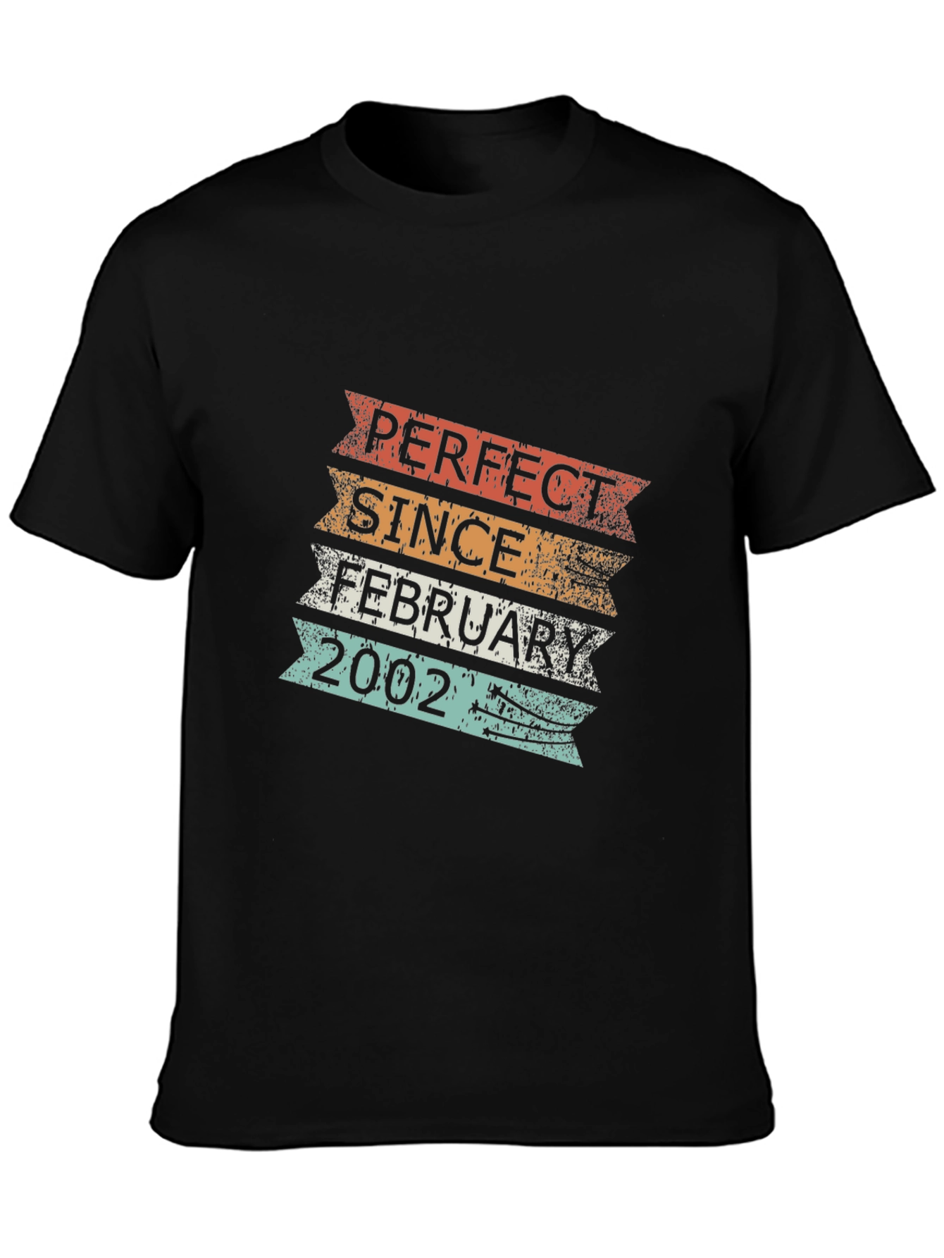 Perfect Since February 2002 T-Shirt