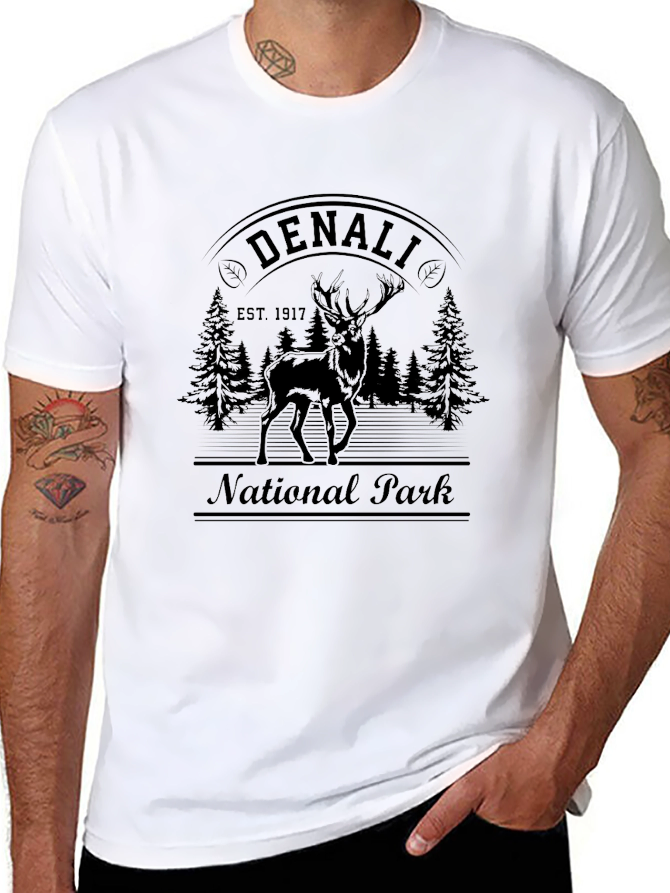 Denali National Park Graphic T-Shirt