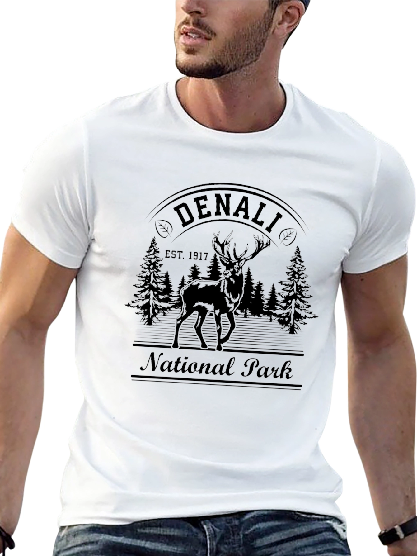 Denali National Park Graphic T-Shirt
