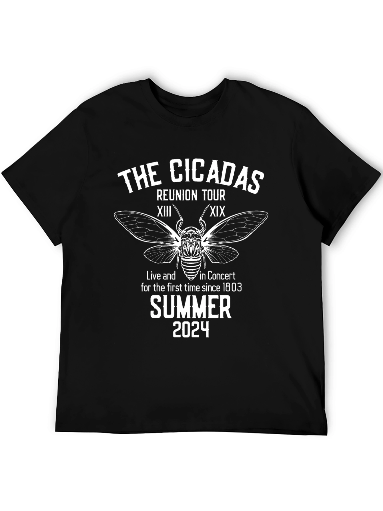 Cicadas Reunion Tour Summer 2024 Black T-Shirt