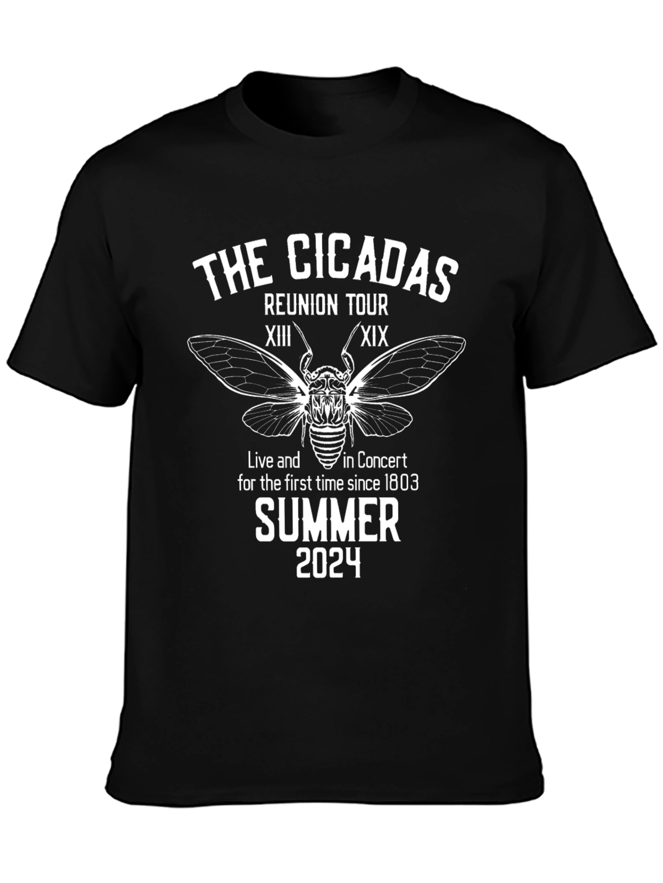 Cicadas Reunion Tour Summer 2024 Black T-Shirt