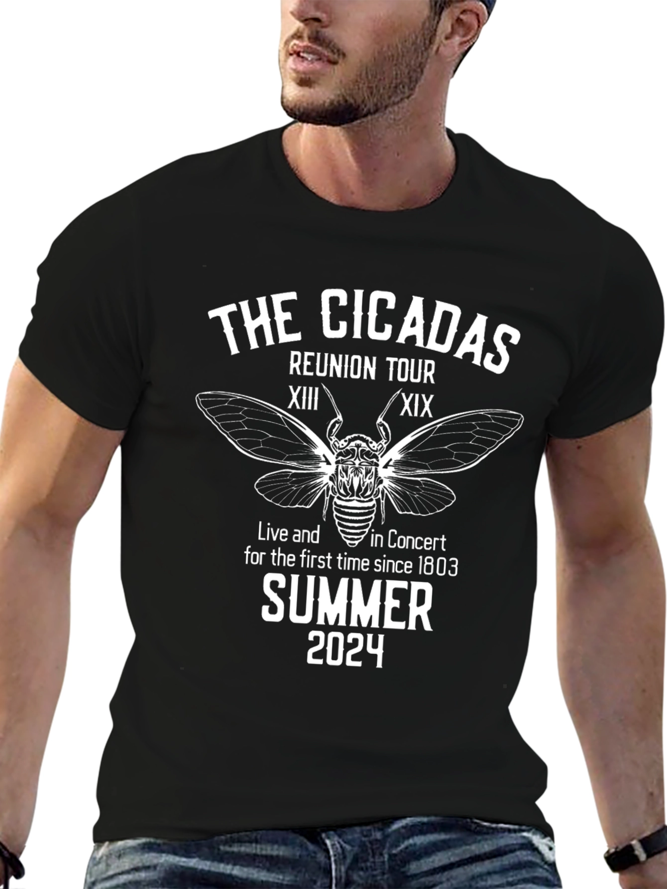 Cicadas Reunion Tour Summer 2024 Black T-Shirt