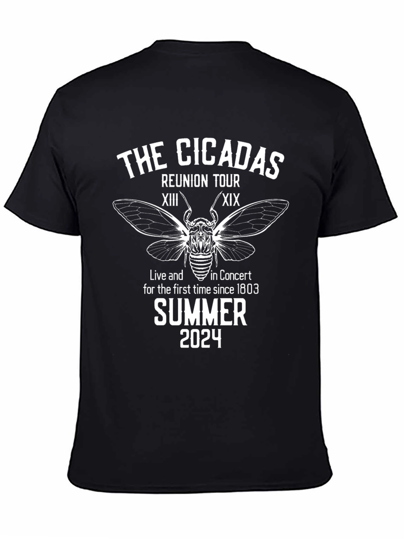 Cicadas Reunion Tour Summer 2024 Black T-Shirt