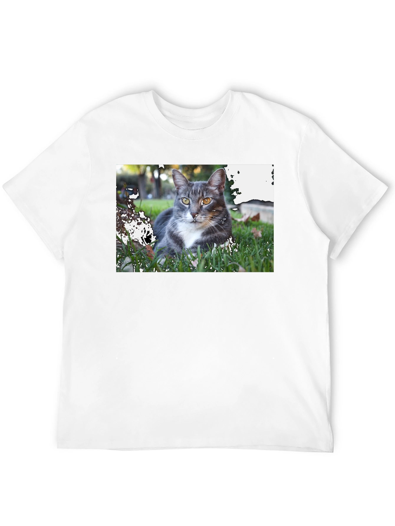 Gray Cat Graphic Tee - Mens Black T-Shirt