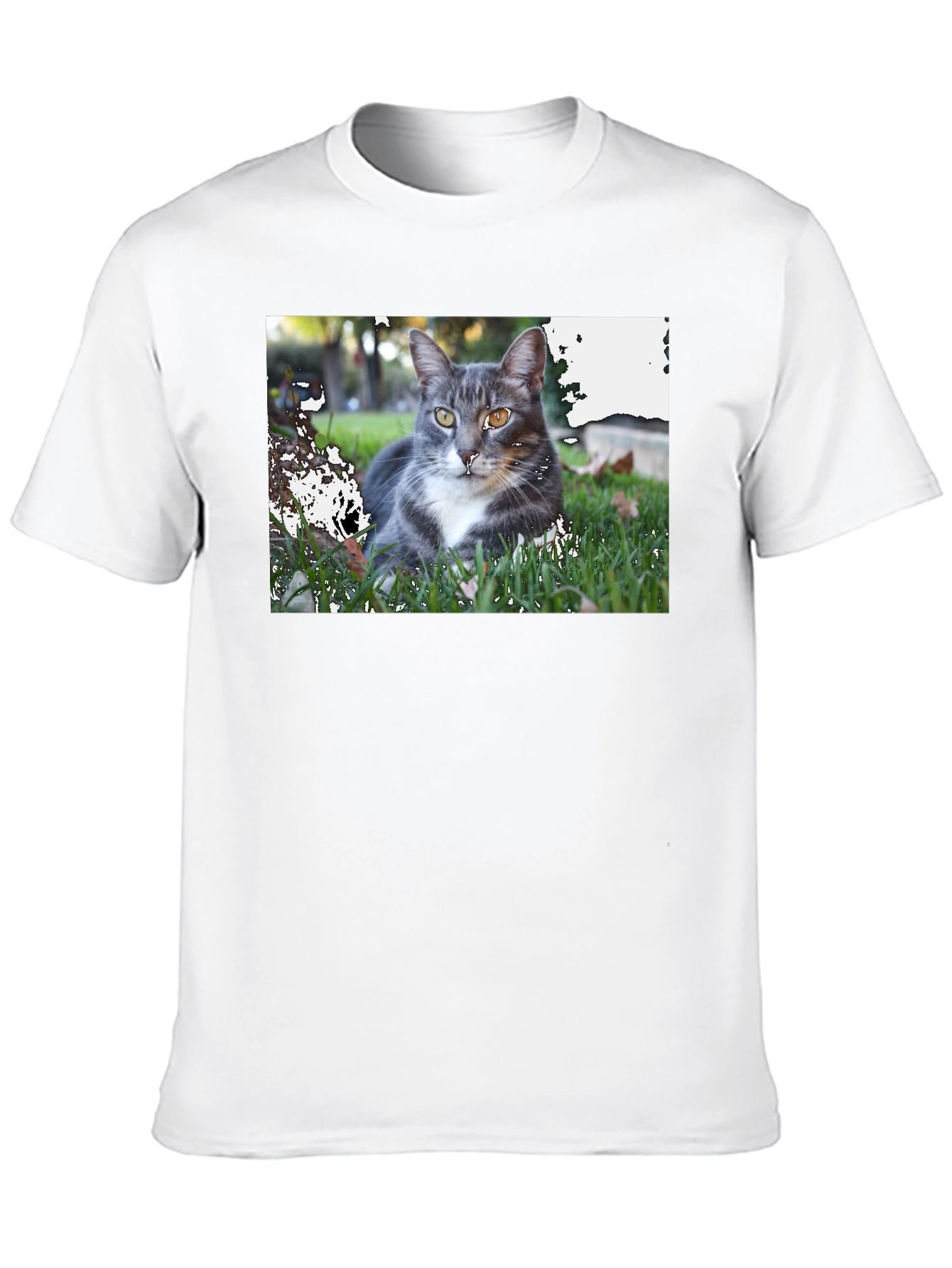 Gray Cat Graphic Tee - Mens Black T-Shirt