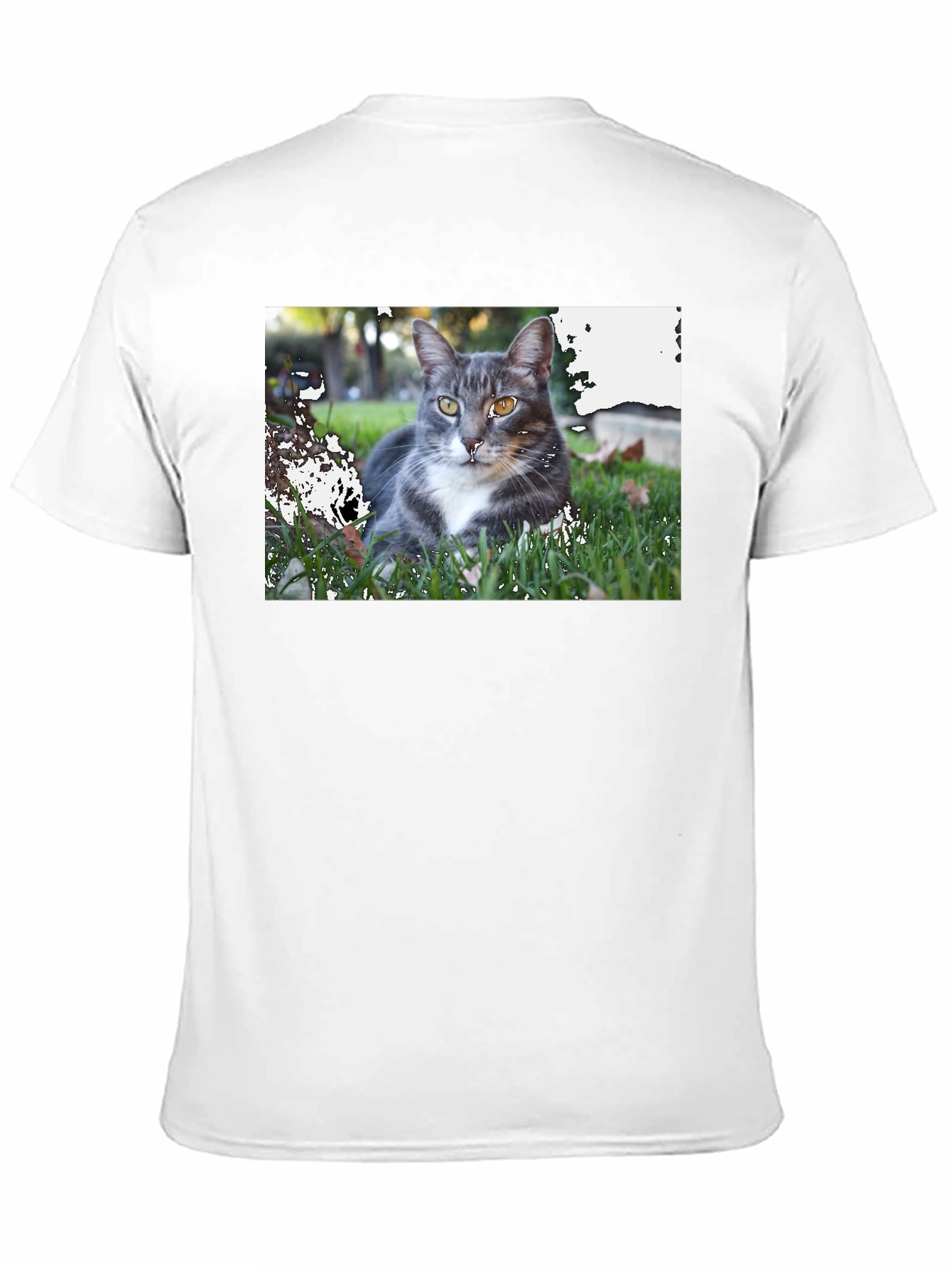 Gray Cat Graphic Tee - Mens Black T-Shirt