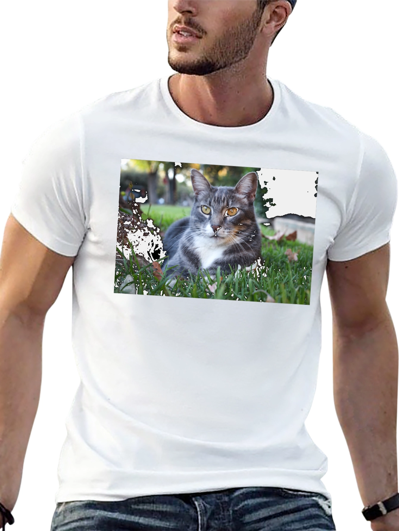 Gray Cat Graphic Tee - Mens Black T-Shirt