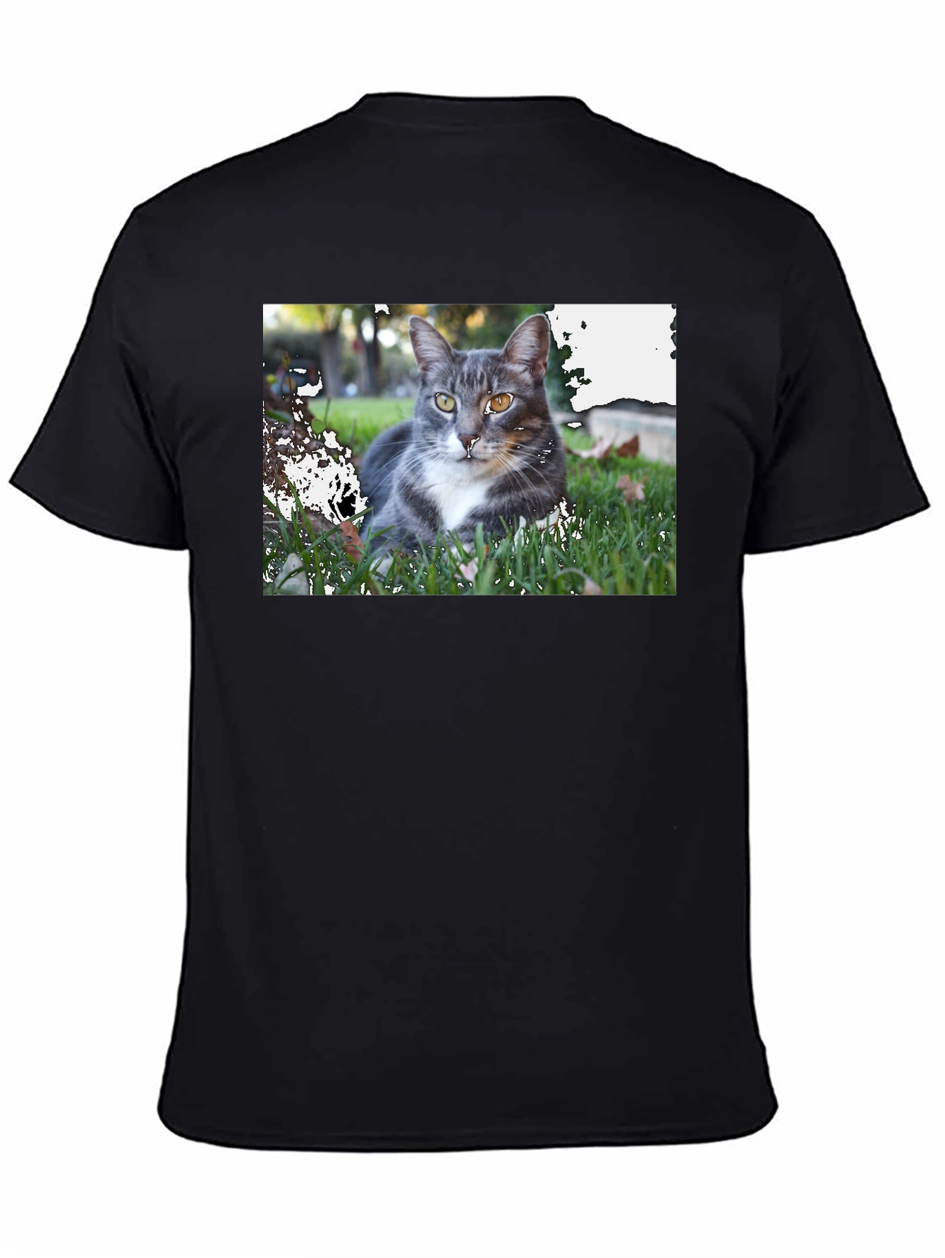 Gray Cat Graphic Tee - Mens Black T-Shirt