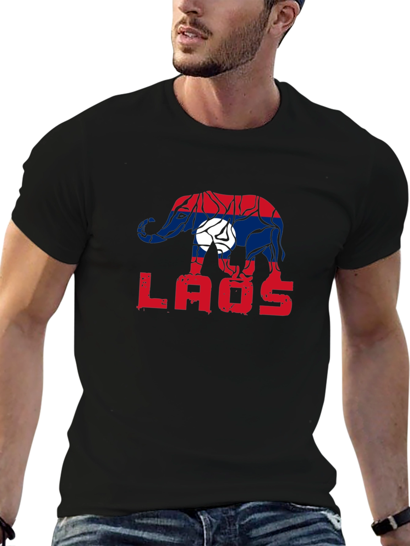 Laos Elephant Flag Graphic Tee