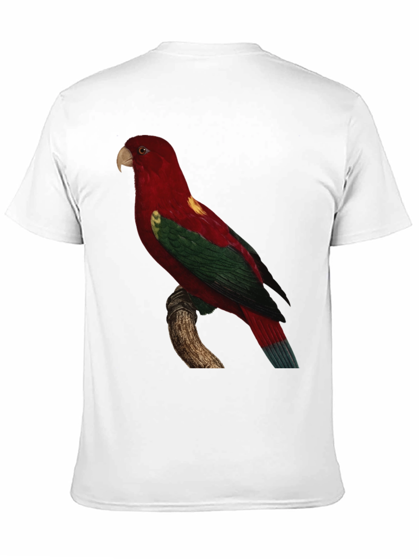 Parrot Print Crewneck T-Shirt