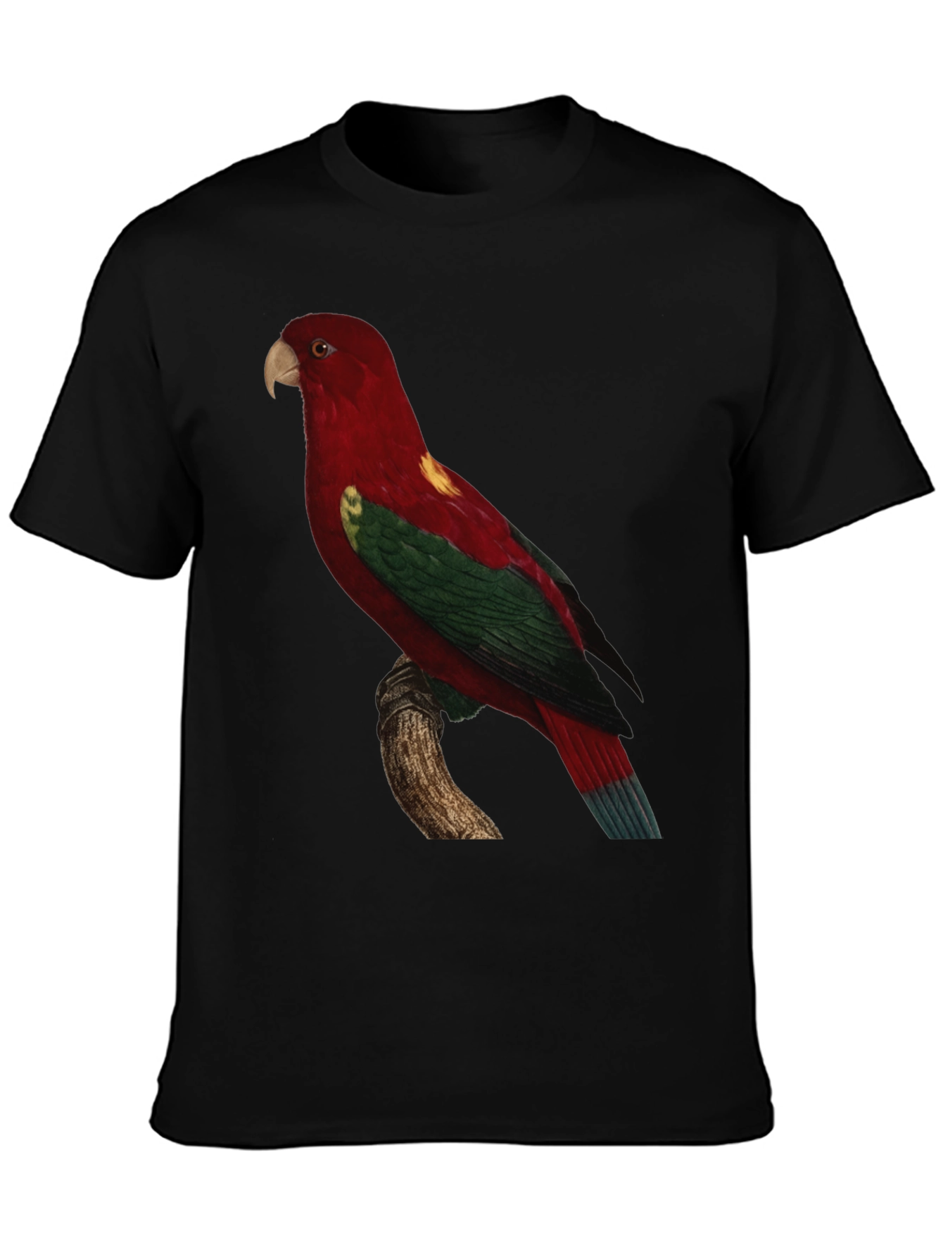 Parrot Print Crewneck T-Shirt