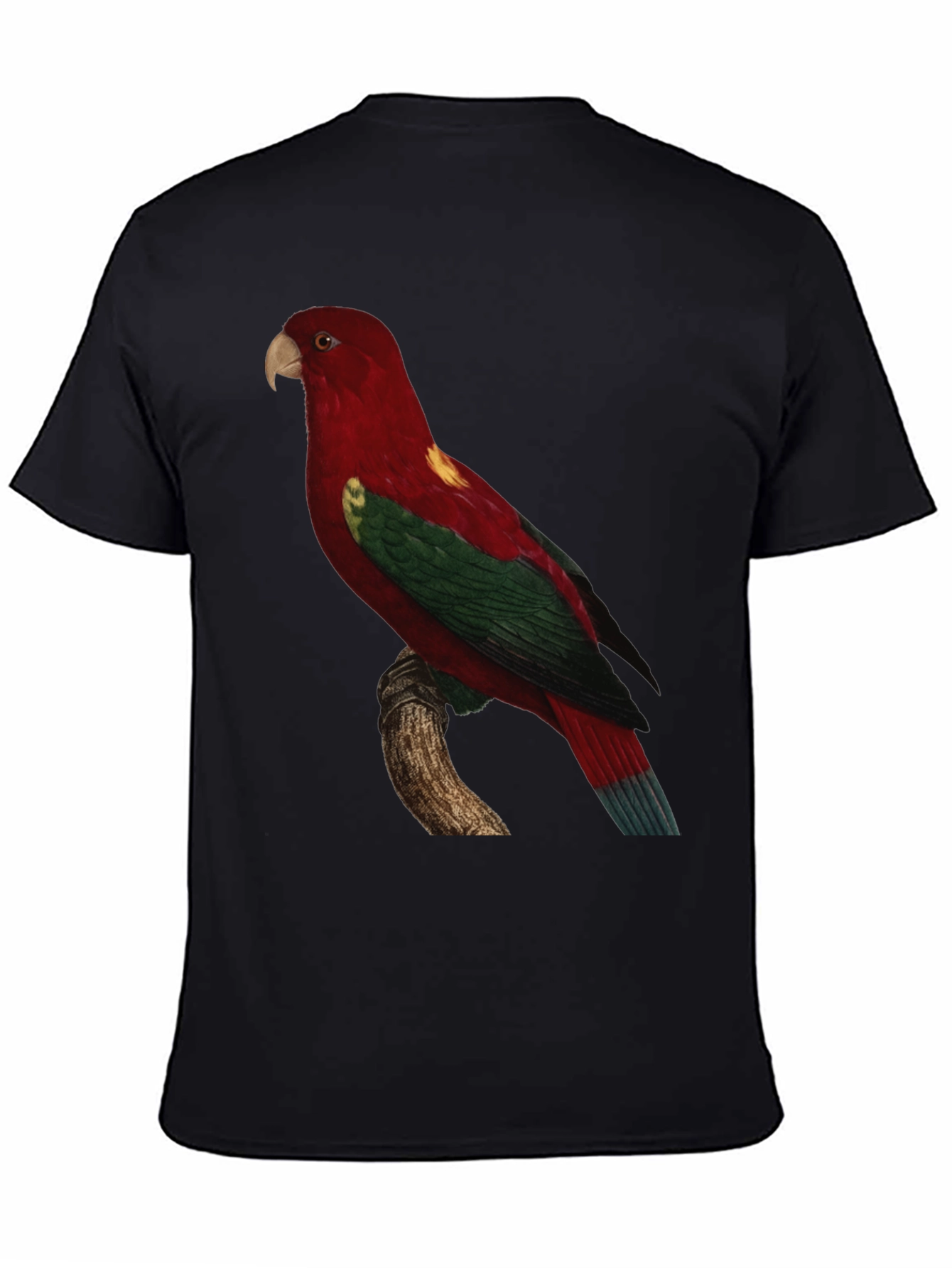 Parrot Print Crewneck T-Shirt