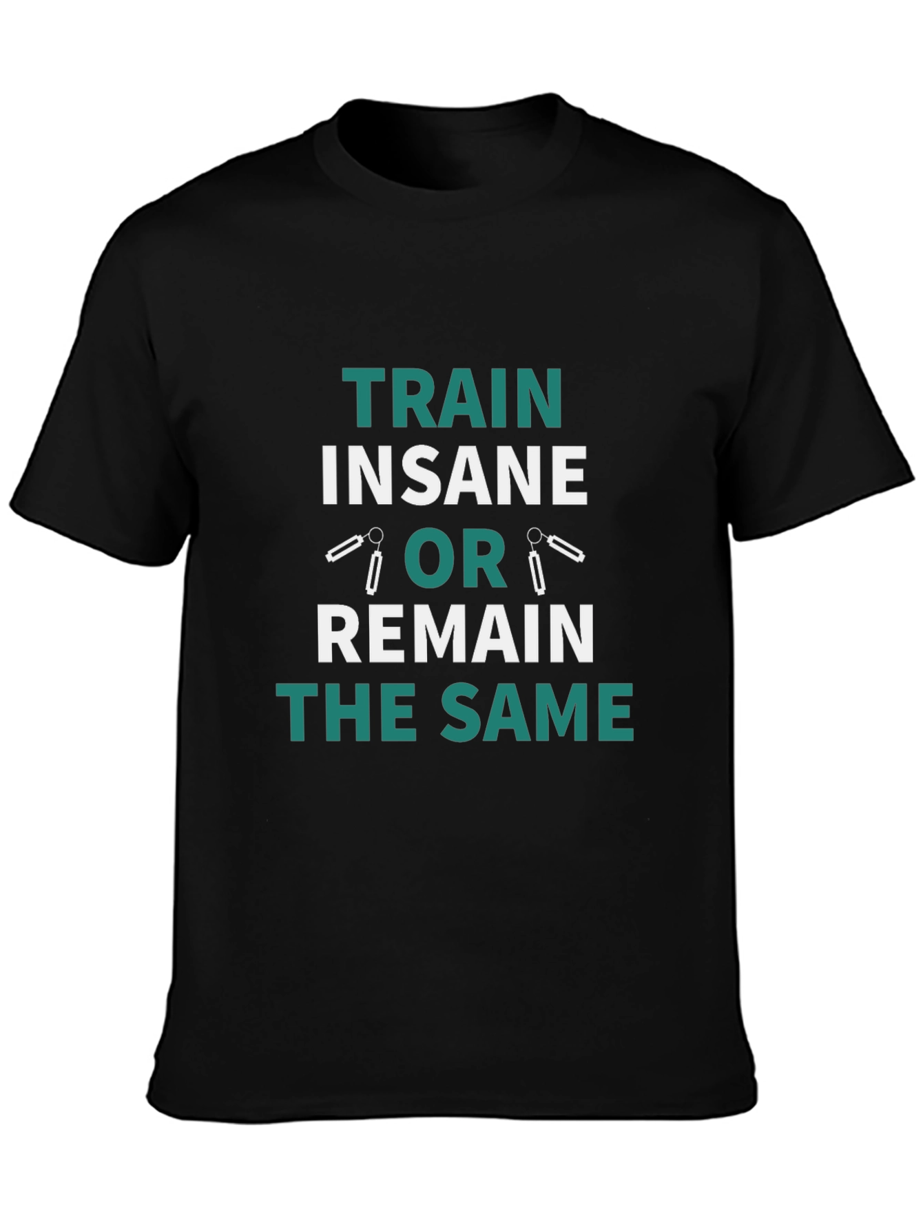Train Insane or Remain the Same T-Shirt