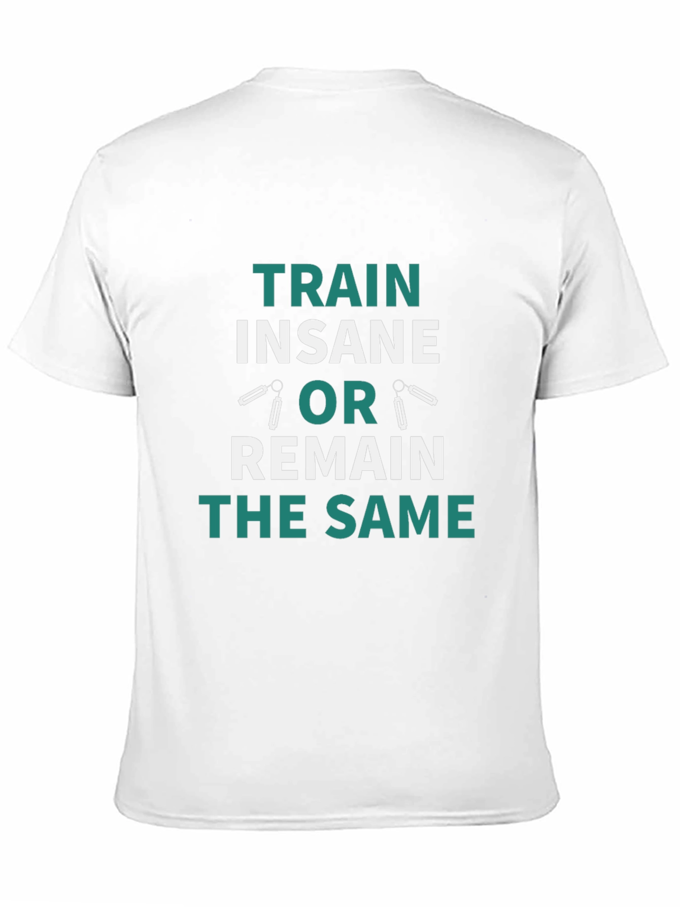 Train Insane or Remain the Same T-Shirt