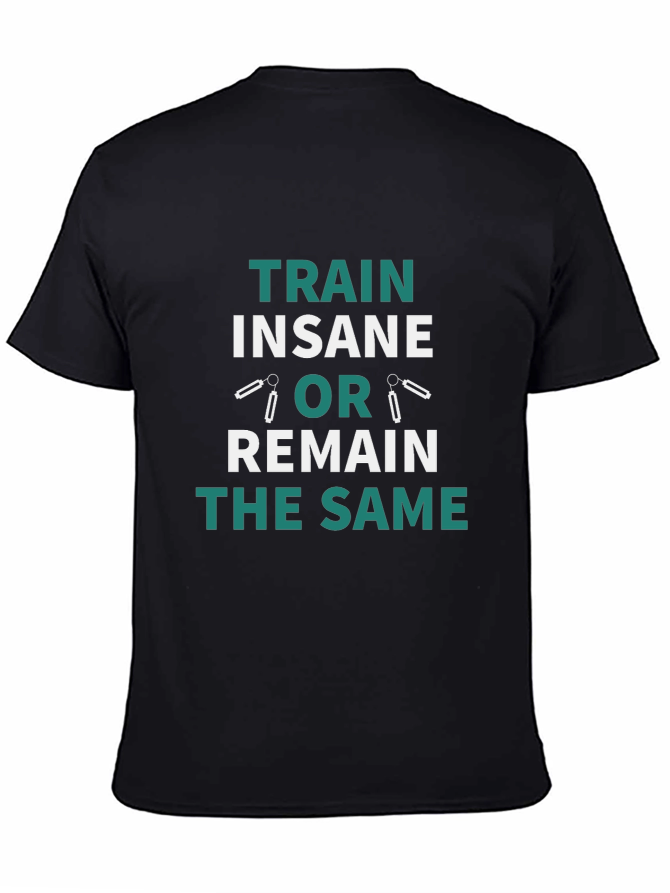 Train Insane or Remain the Same T-Shirt