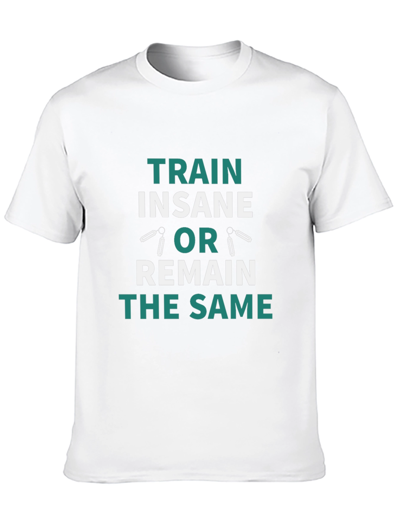 Train Insane or Remain the Same T-Shirt