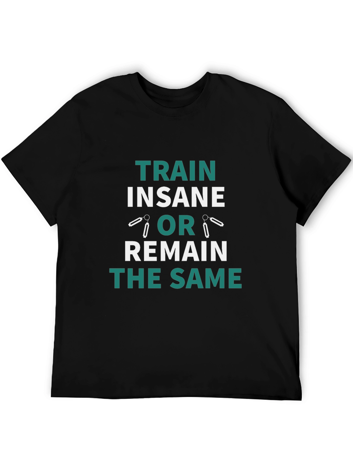 Train Insane or Remain the Same T-Shirt