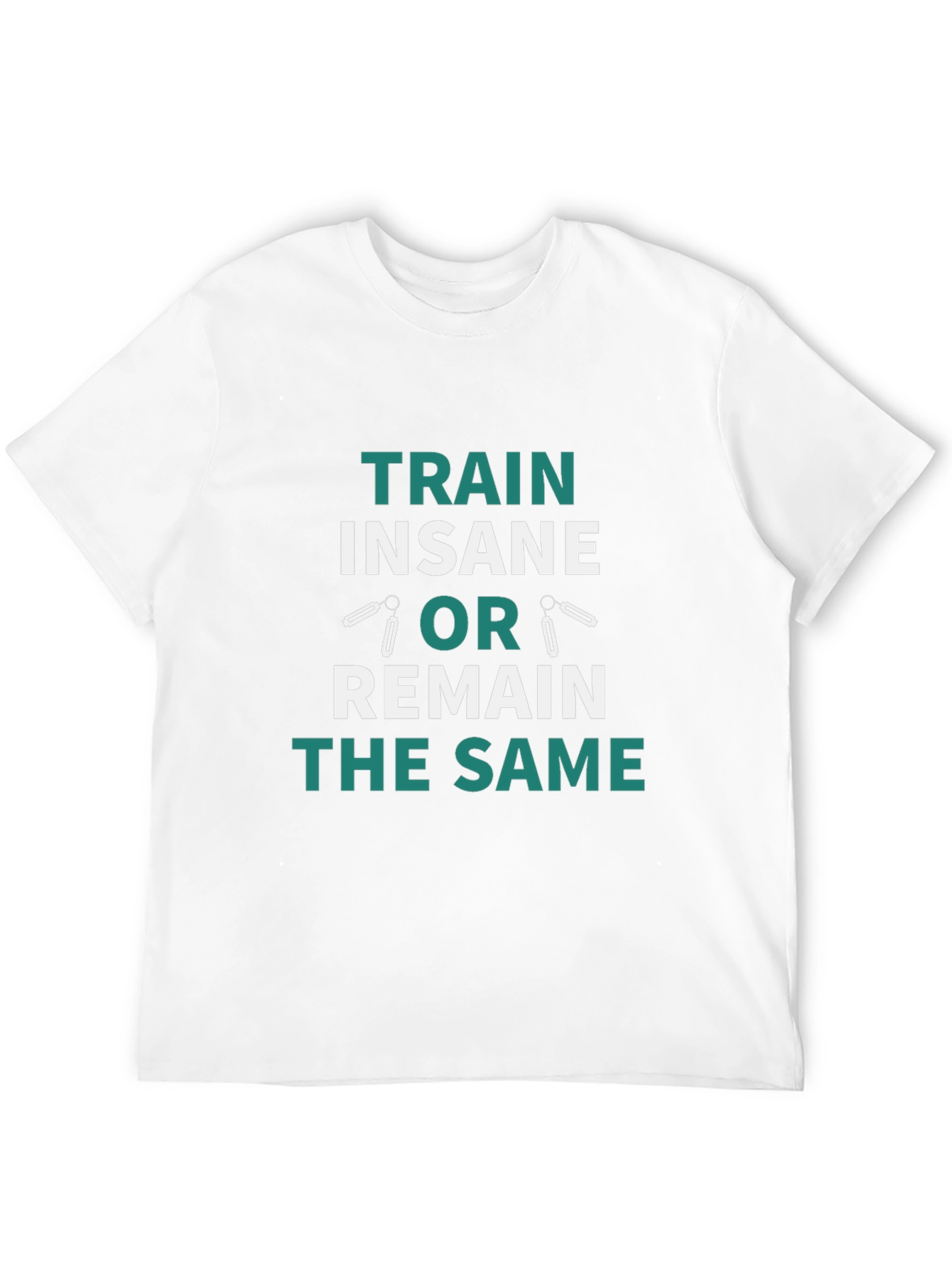 Train Insane or Remain the Same T-Shirt