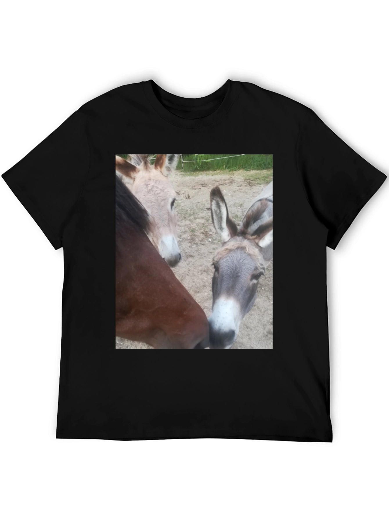 Funny Animal Friends Graphic Tee