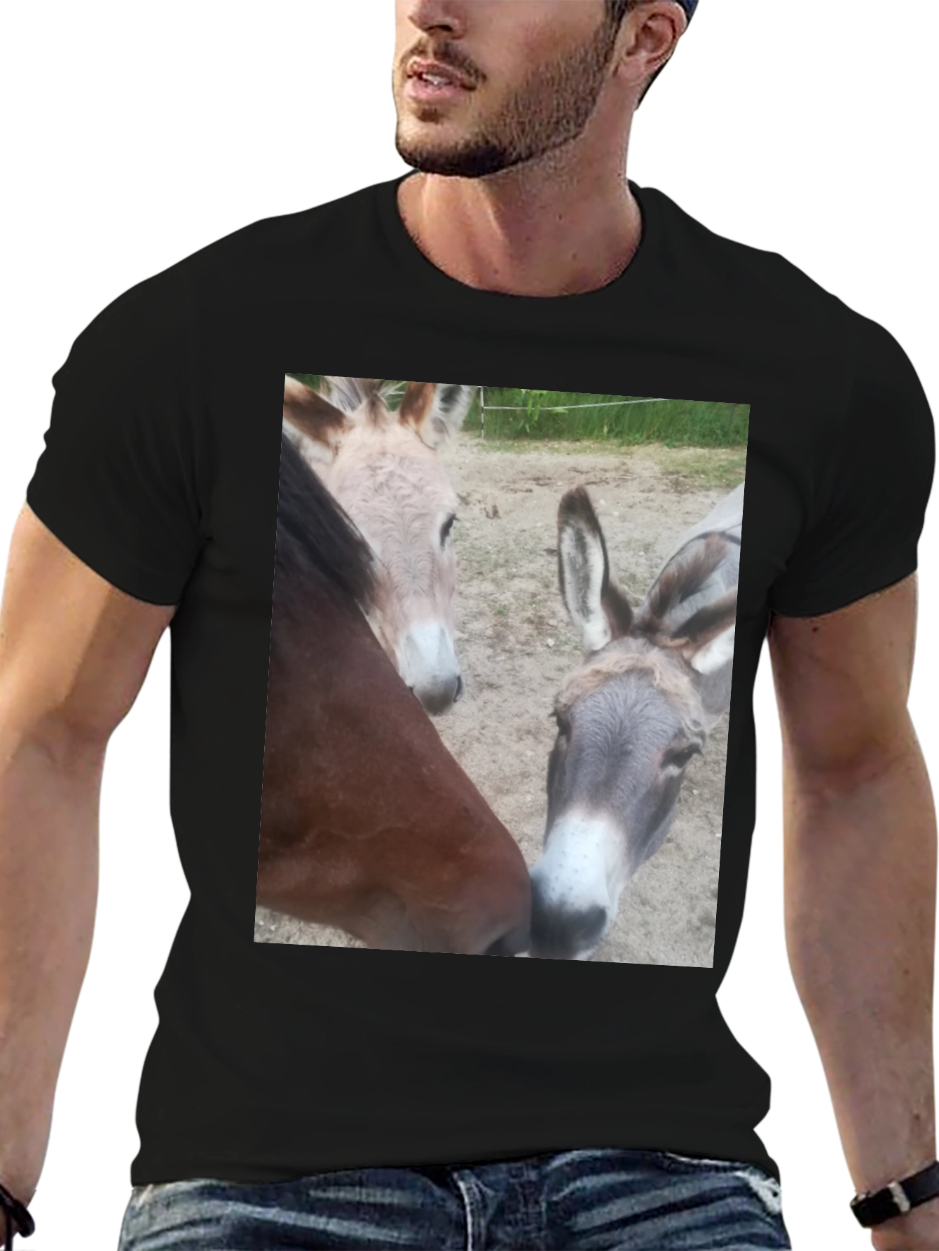 Funny Animal Friends Graphic Tee