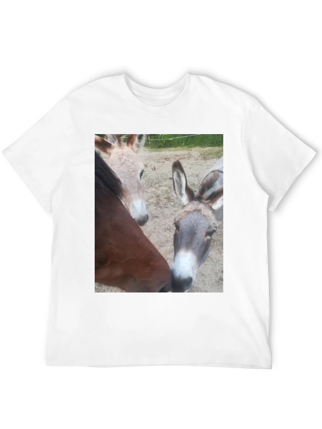 Funny Animal Friends Graphic Tee
