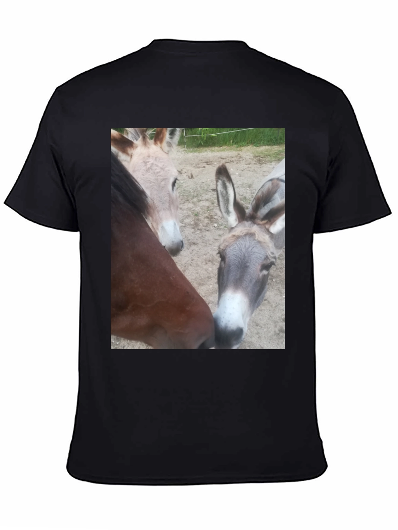 Funny Animal Friends Graphic Tee