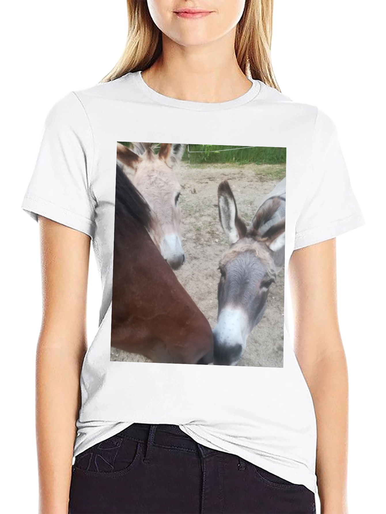 Funny Animal Friends Graphic Tee