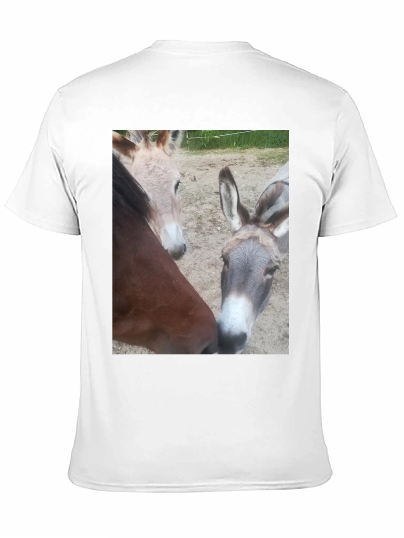 Funny Animal Friends Graphic Tee