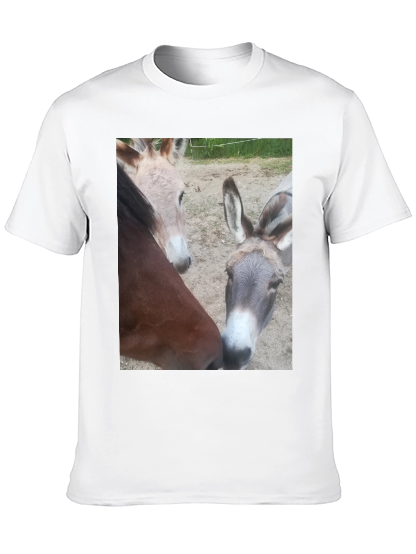 Funny Animal Friends Graphic Tee
