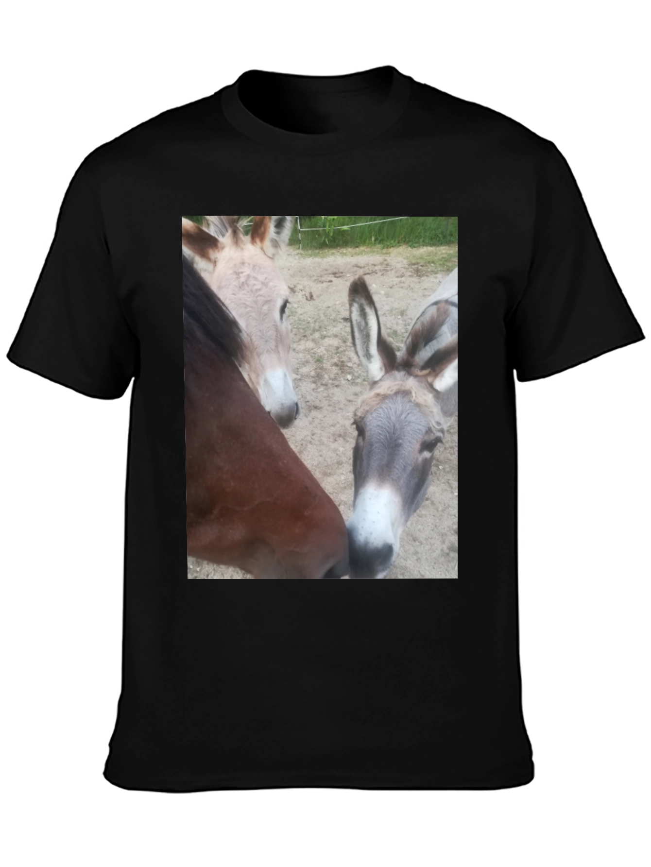 Funny Animal Friends Graphic Tee