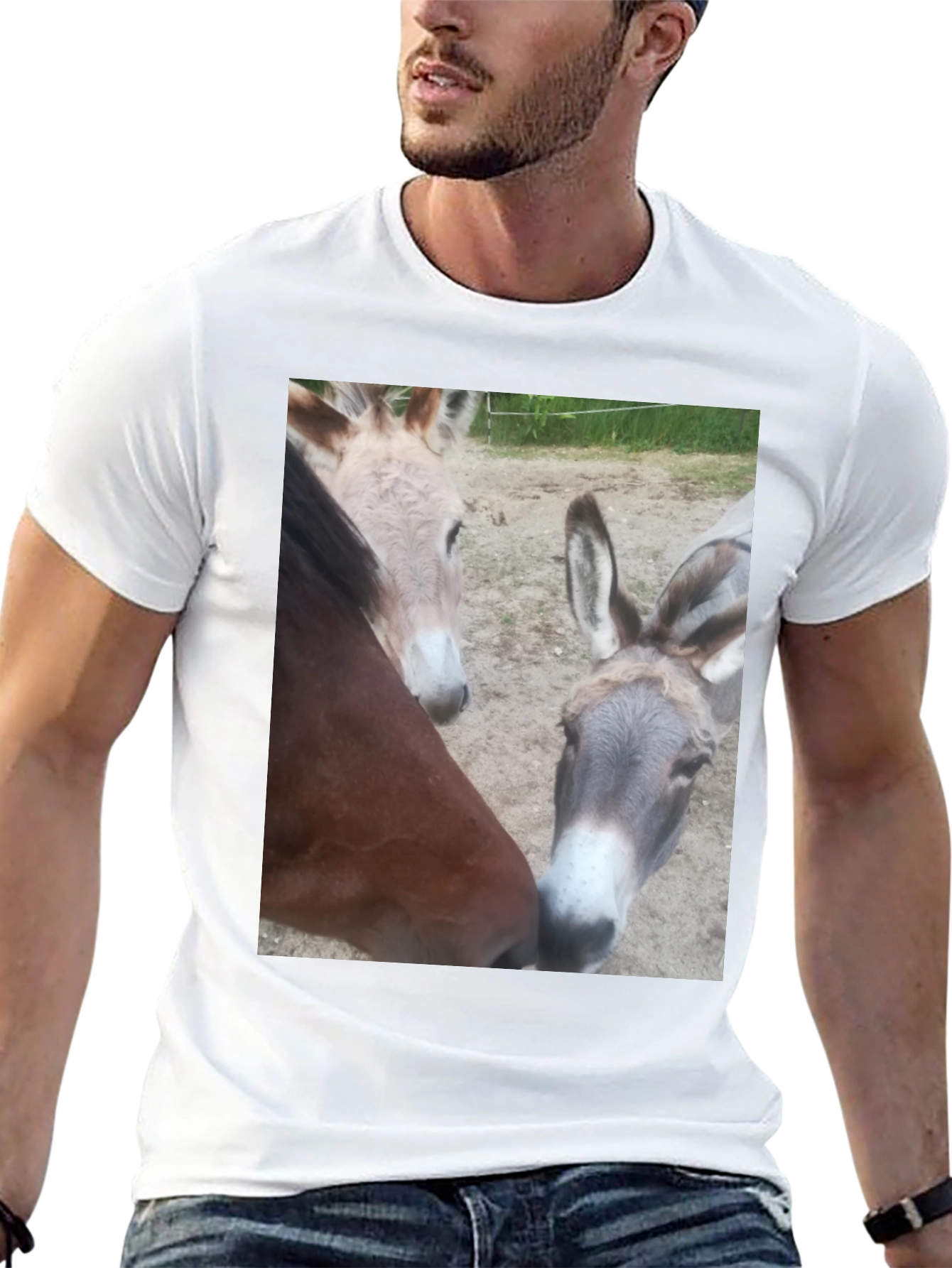 Funny Animal Friends Graphic Tee