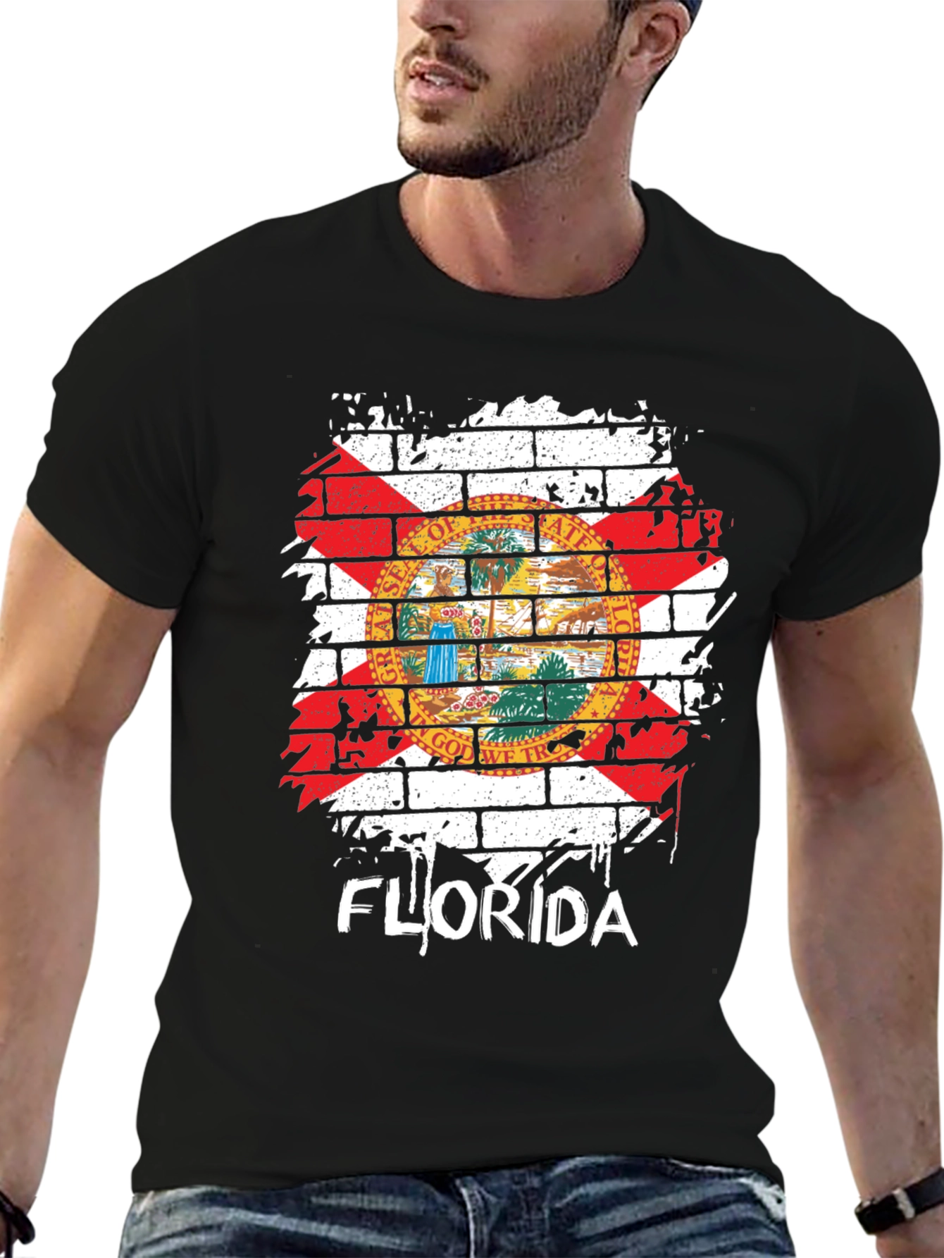 Florida State Flag Graphic T-Shirt
