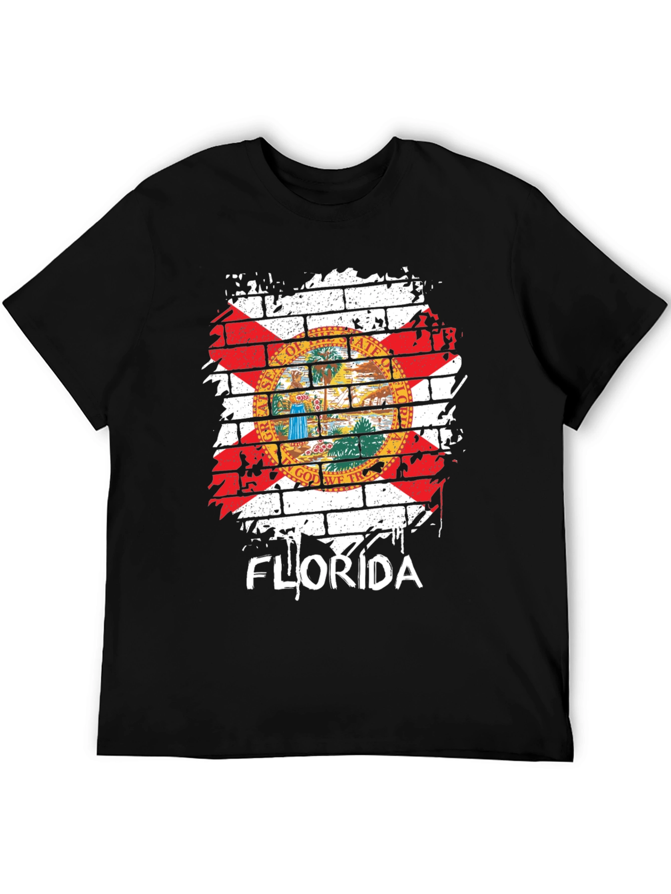 Florida State Flag Graphic T-Shirt