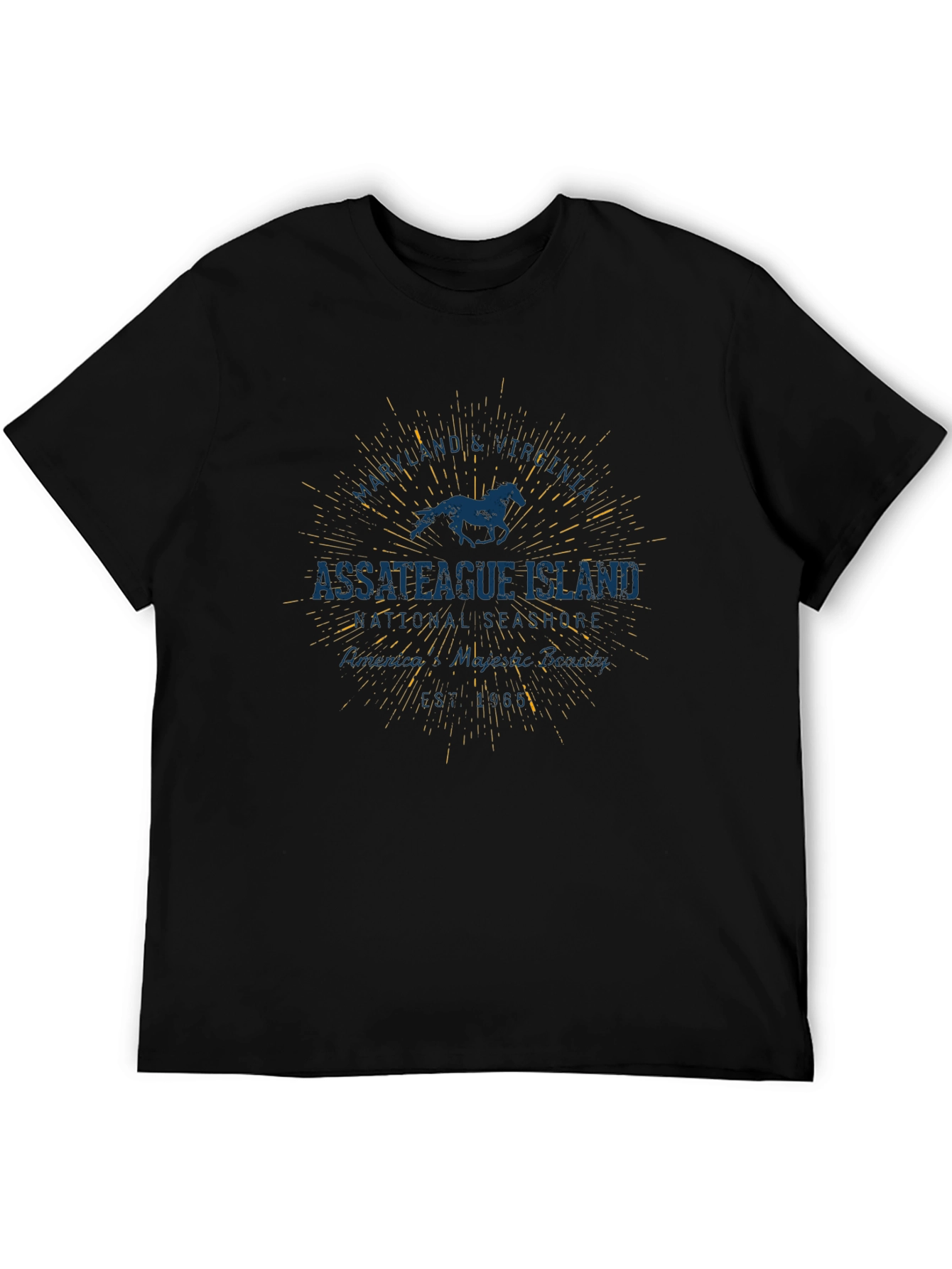 Assateague Island Horse Graphic Black T-Shirt