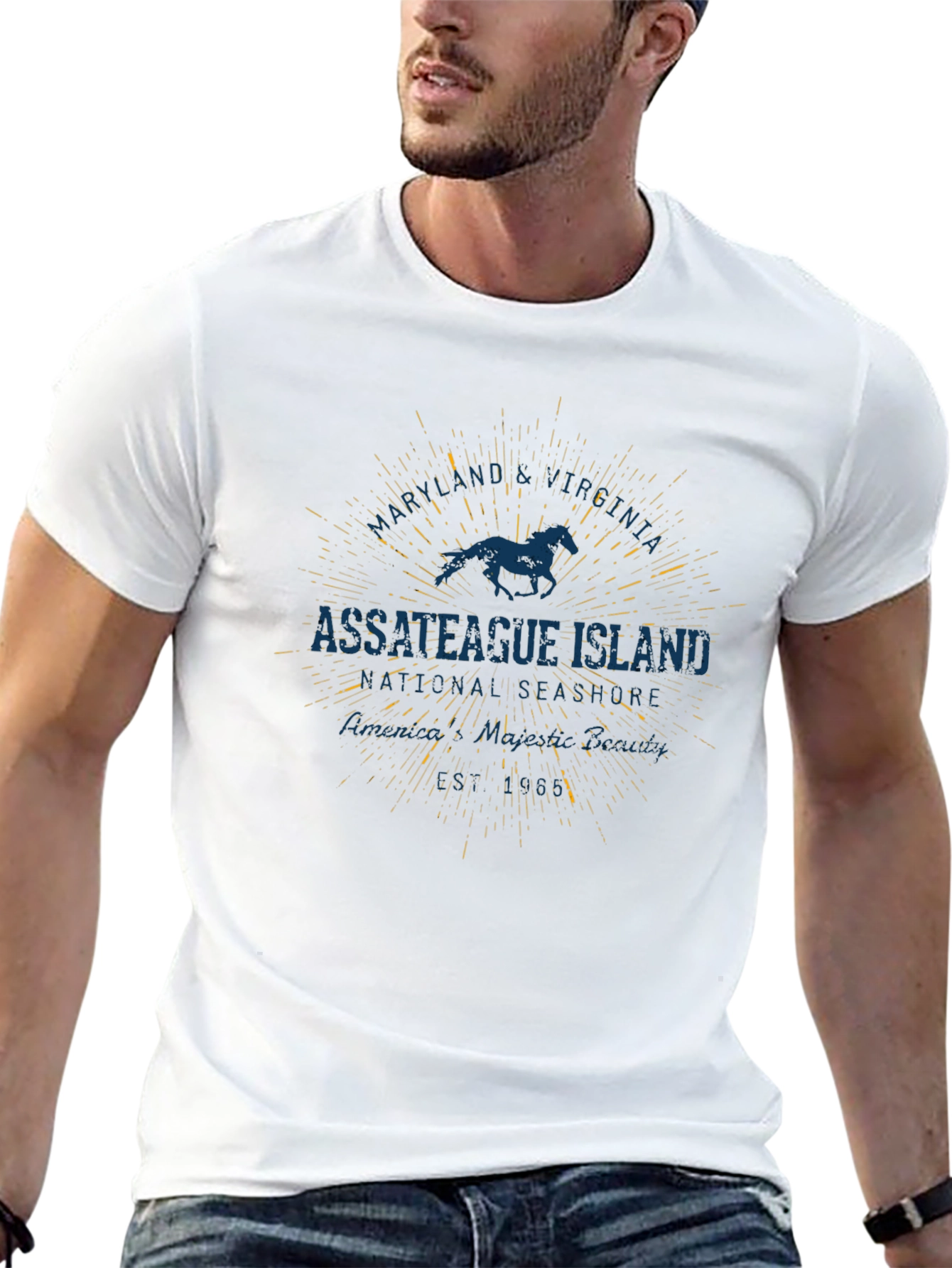 Assateague Island Horse Graphic Black T-Shirt