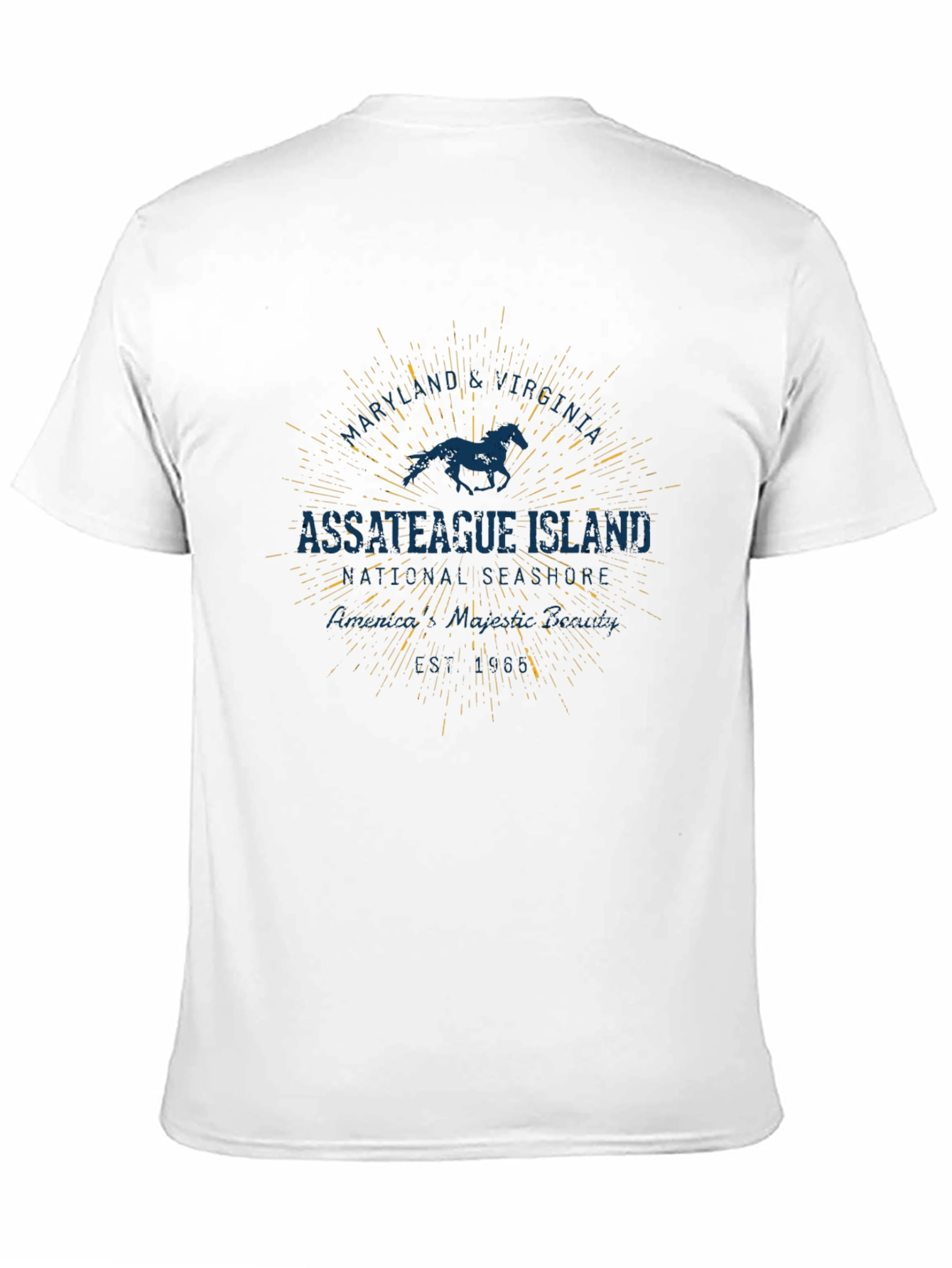 Assateague Island Horse Graphic Black T-Shirt