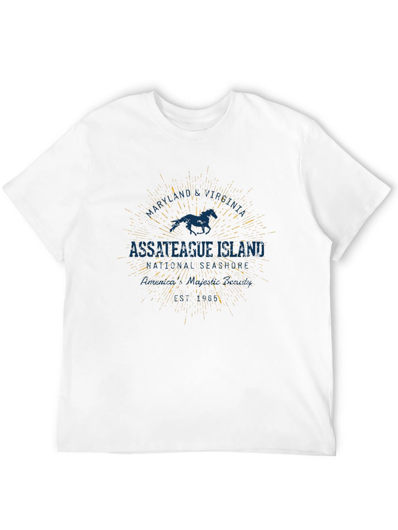 Assateague Island Horse Graphic Black T-Shirt
