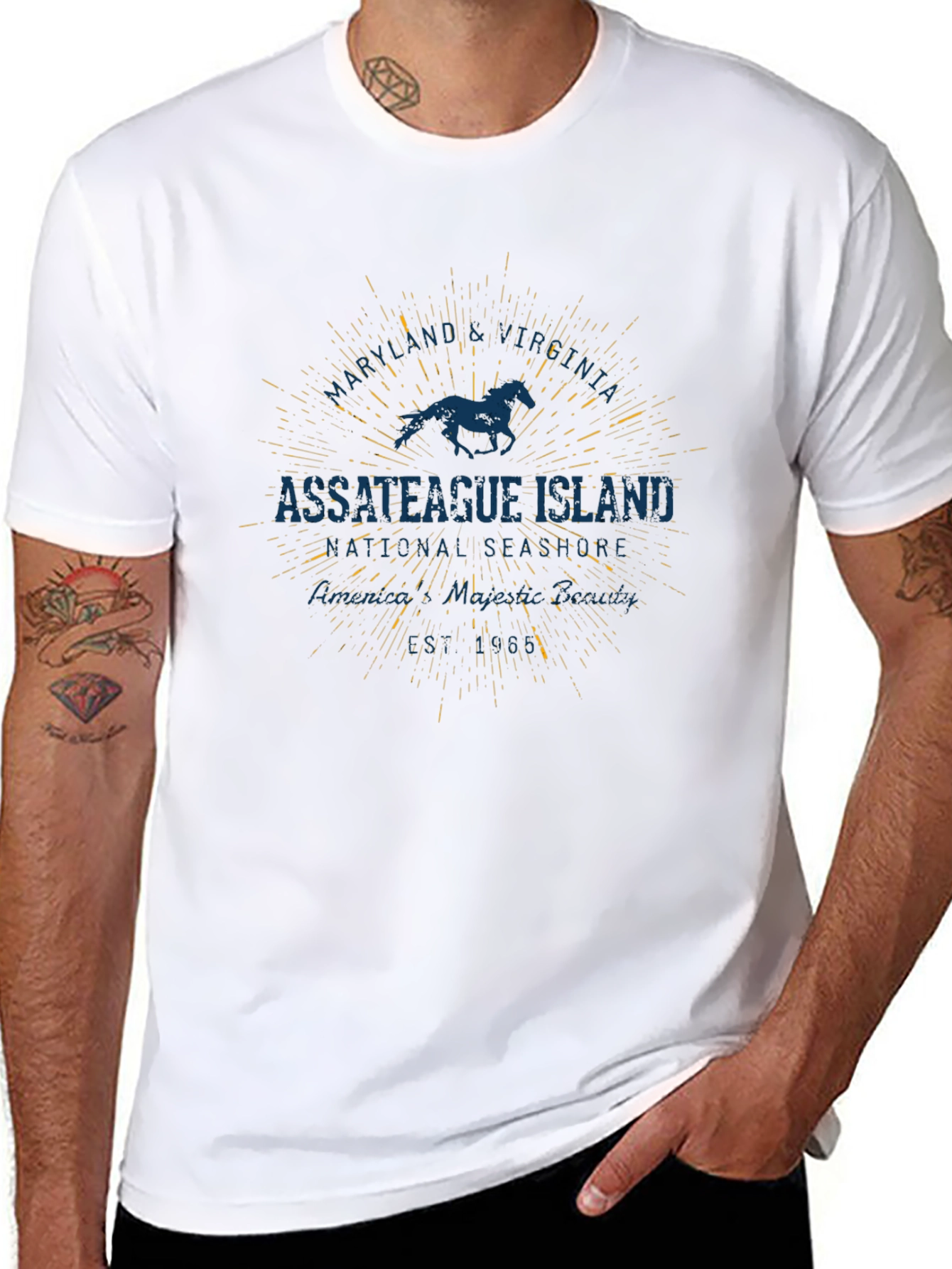 Assateague Island Horse Graphic Black T-Shirt