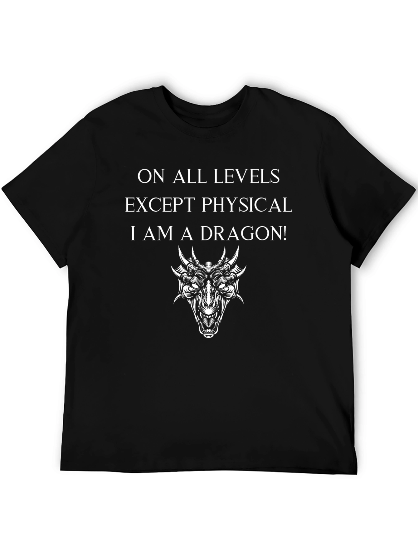 Dragon T-Shirt: On All Levels Except Physical
