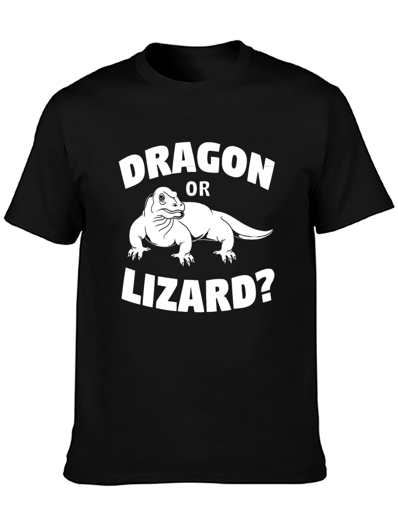 Dragon or Lizard? Graphic Tee